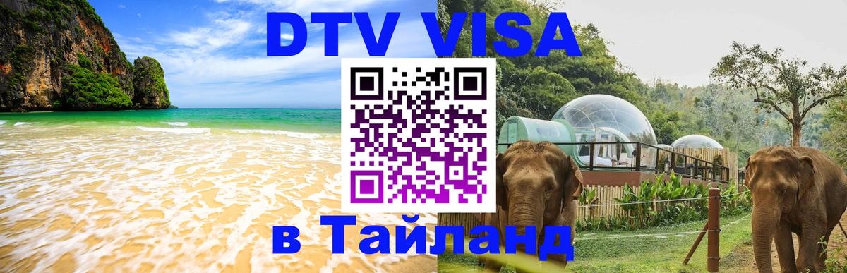 Сколько стоит DTV виза — актуальные цены, оформление даже без документов - Ульяновск  08.01.2026 